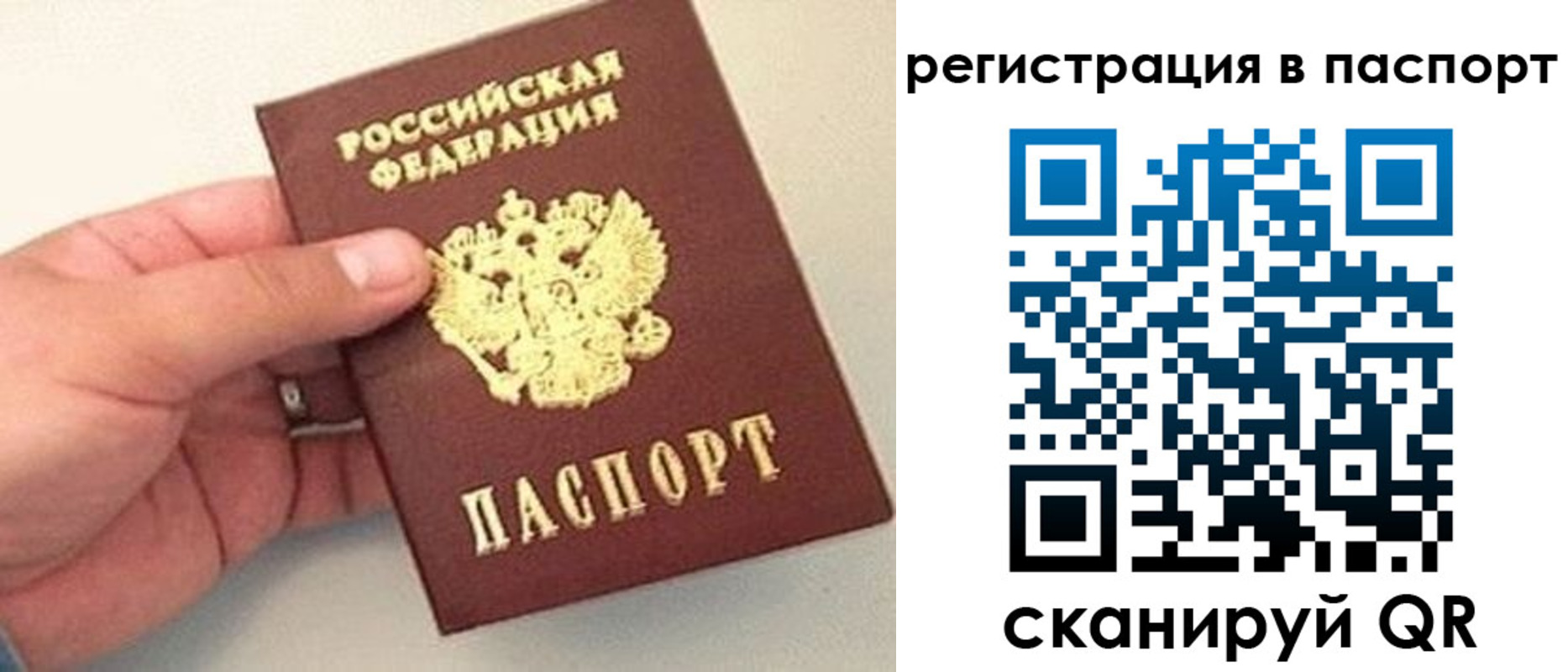 прописка законно в Кизляре